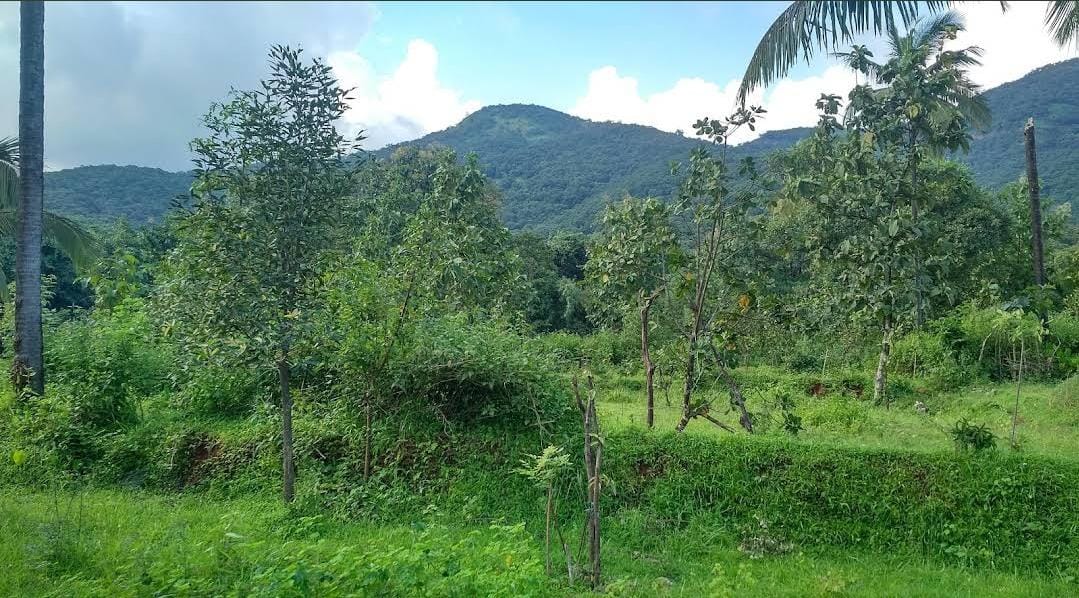 WhatsApp-Image-2024-07-16-at-13.43.43_15cbf1b5