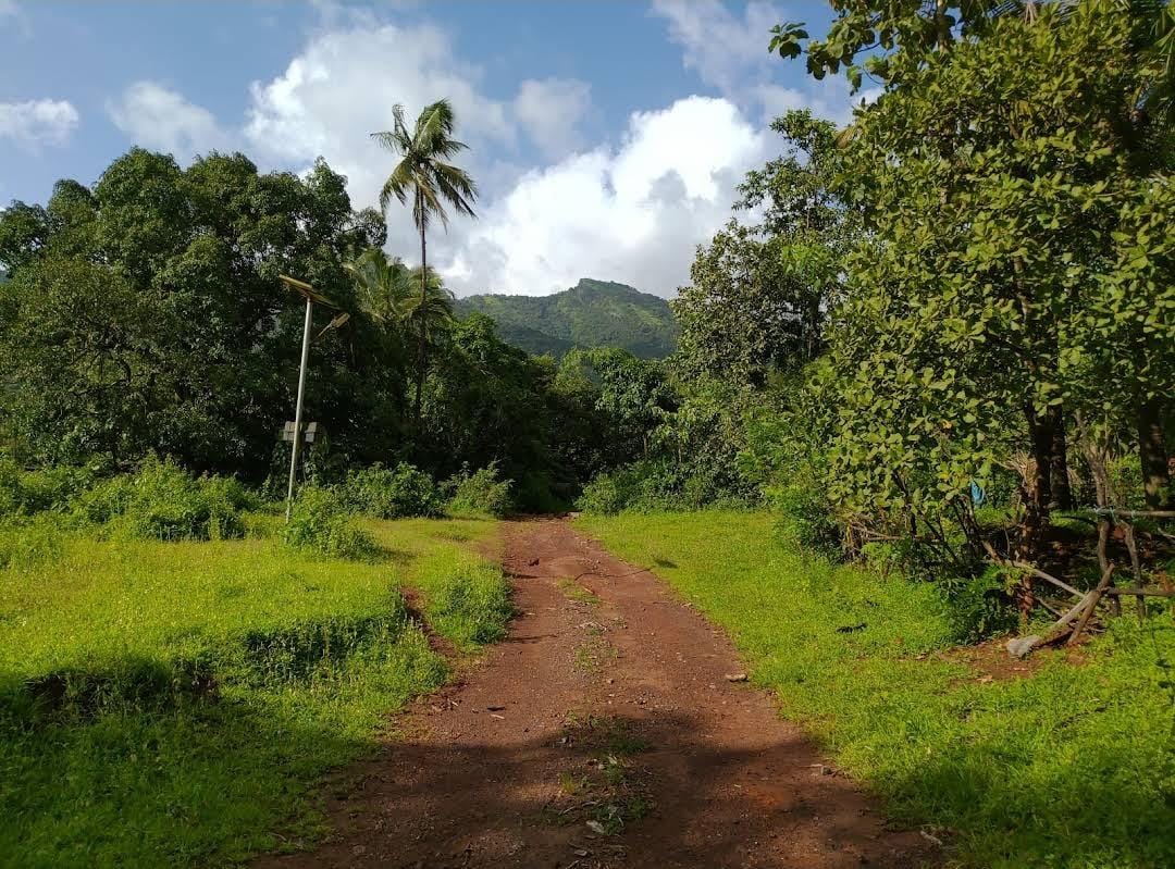 WhatsApp-Image-2024-07-16-at-13.44.04_6f898cc0