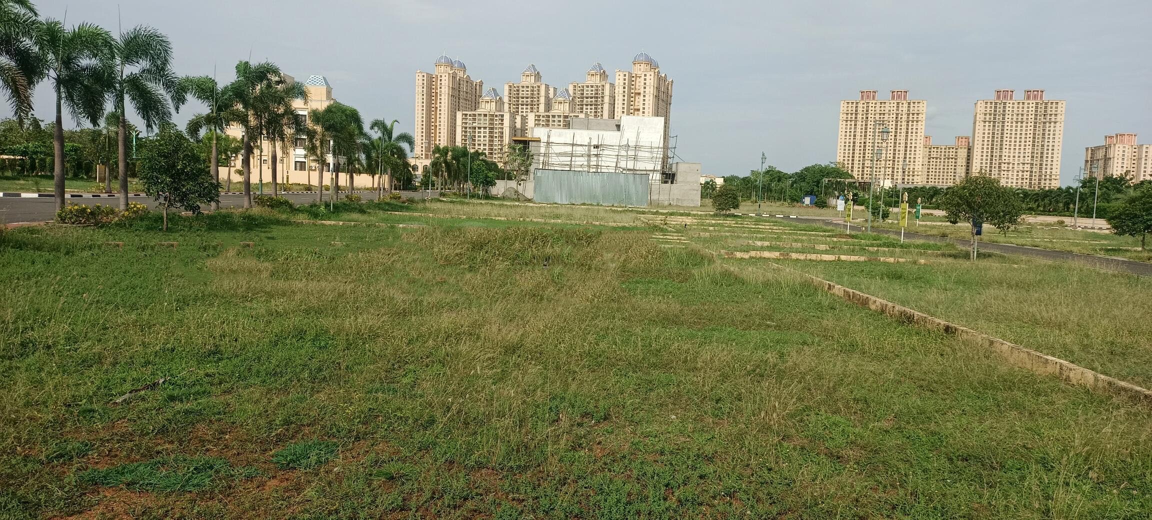 sfp1d93_1713269957_486591152_optOrig