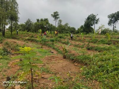 WhatsApp Image 2026-08-18 at 11.18.11 AM (2)